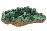 Fluorescent, Fluorite Crystal Cluster - Rogerley Mine #97883-1